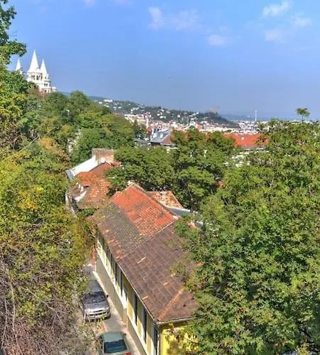 Castle Hill Garden *