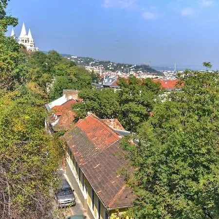 Castle Hill Garden *